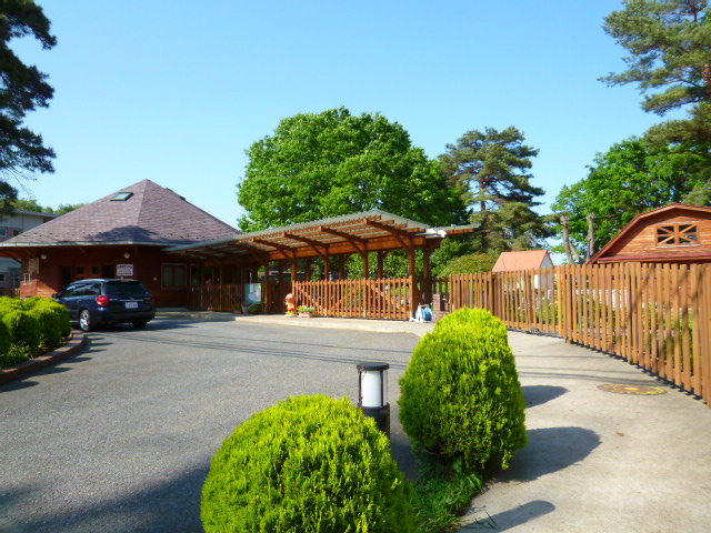 kindergarten ・ Nursery. Certified child Gardens south of the forest nursery school (kindergarten ・ 590m to the nursery)