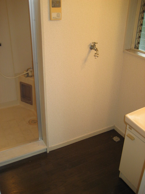 Washroom. This washing machine Storage