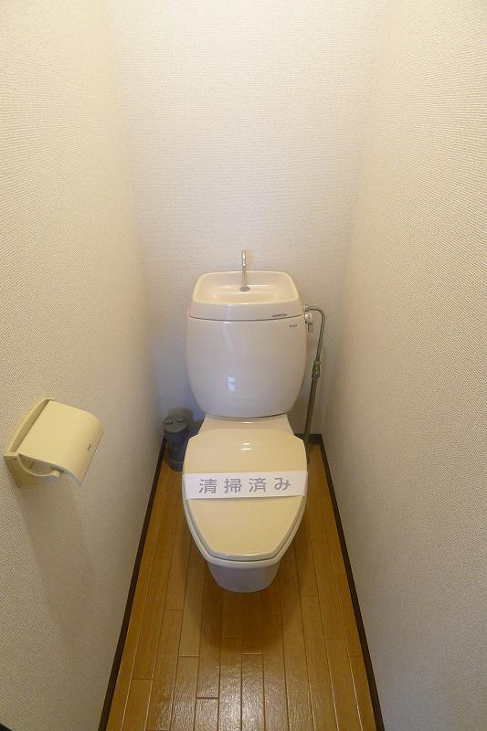 Toilet. Cleaning is settled