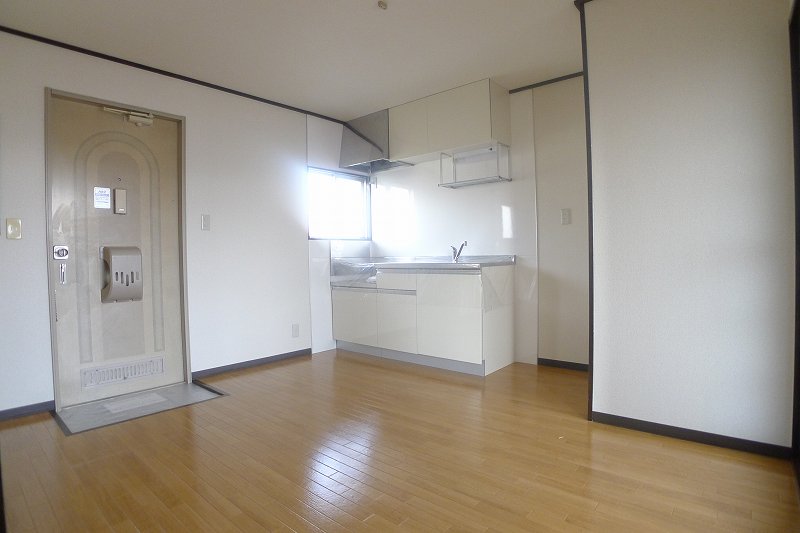 Living and room. House is cleaning settled