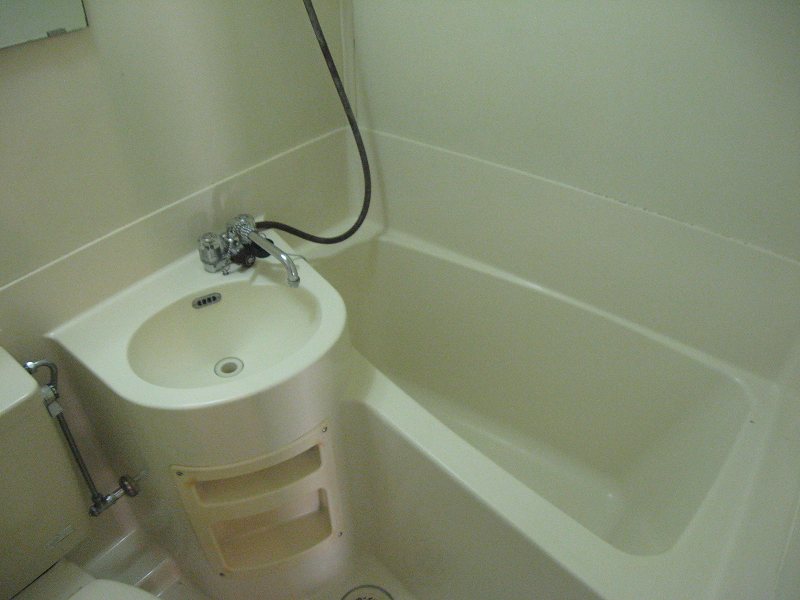 Bath. shower, Also it comes with a mirror