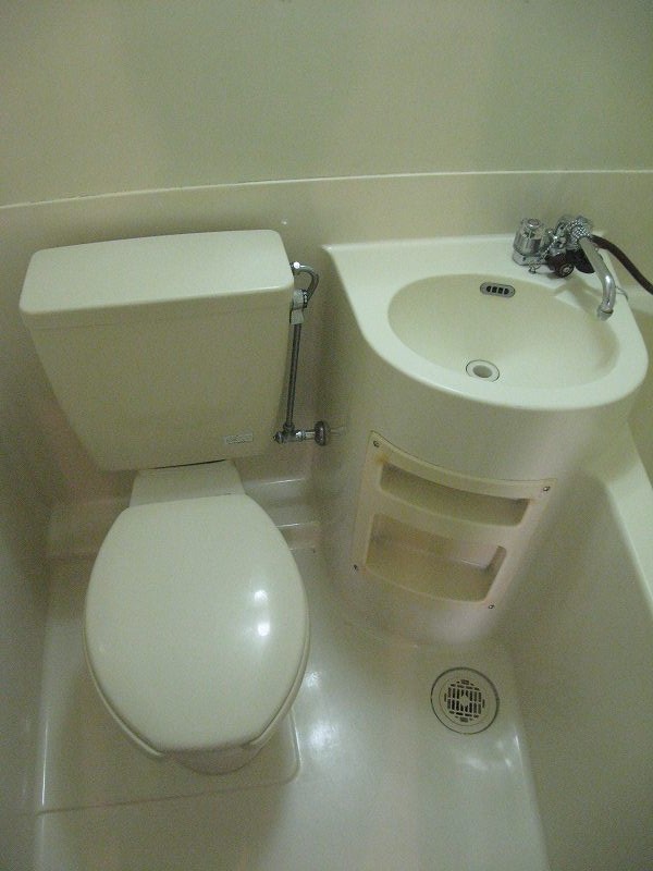 Toilet. Cleaning is settled.