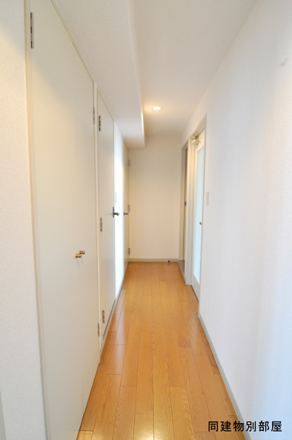 Entrance. Appearance of the room as seen from the entrance