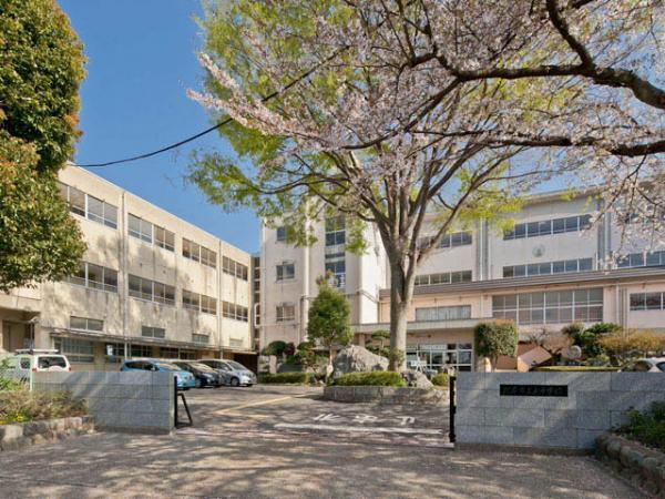Junior high school. 1600m up to junior high school 2013 / 04 / 03 shooting Kitamoto City Tatsuhigashi junior high school