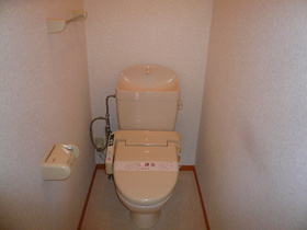 Toilet. Same type