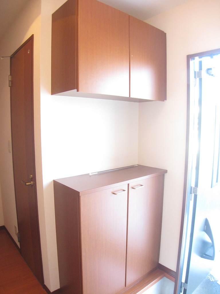 Receipt. The entrance, There is a hanging cupboard and shoe box