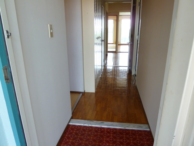 Entrance. Internal front as seen from the front door