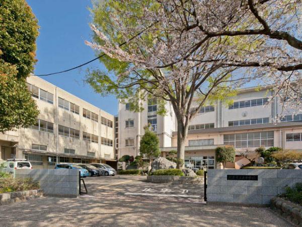 Junior high school. 1600m up to junior high school 2013 / 04 / 03 shooting Kitamoto City Tatsuhigashi junior high school