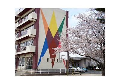 Primary school. 620m to North Elementary School