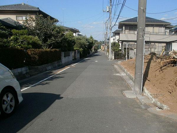 Local photos, including front road. Subdivision is located in the residential area (September 2013) Shooting