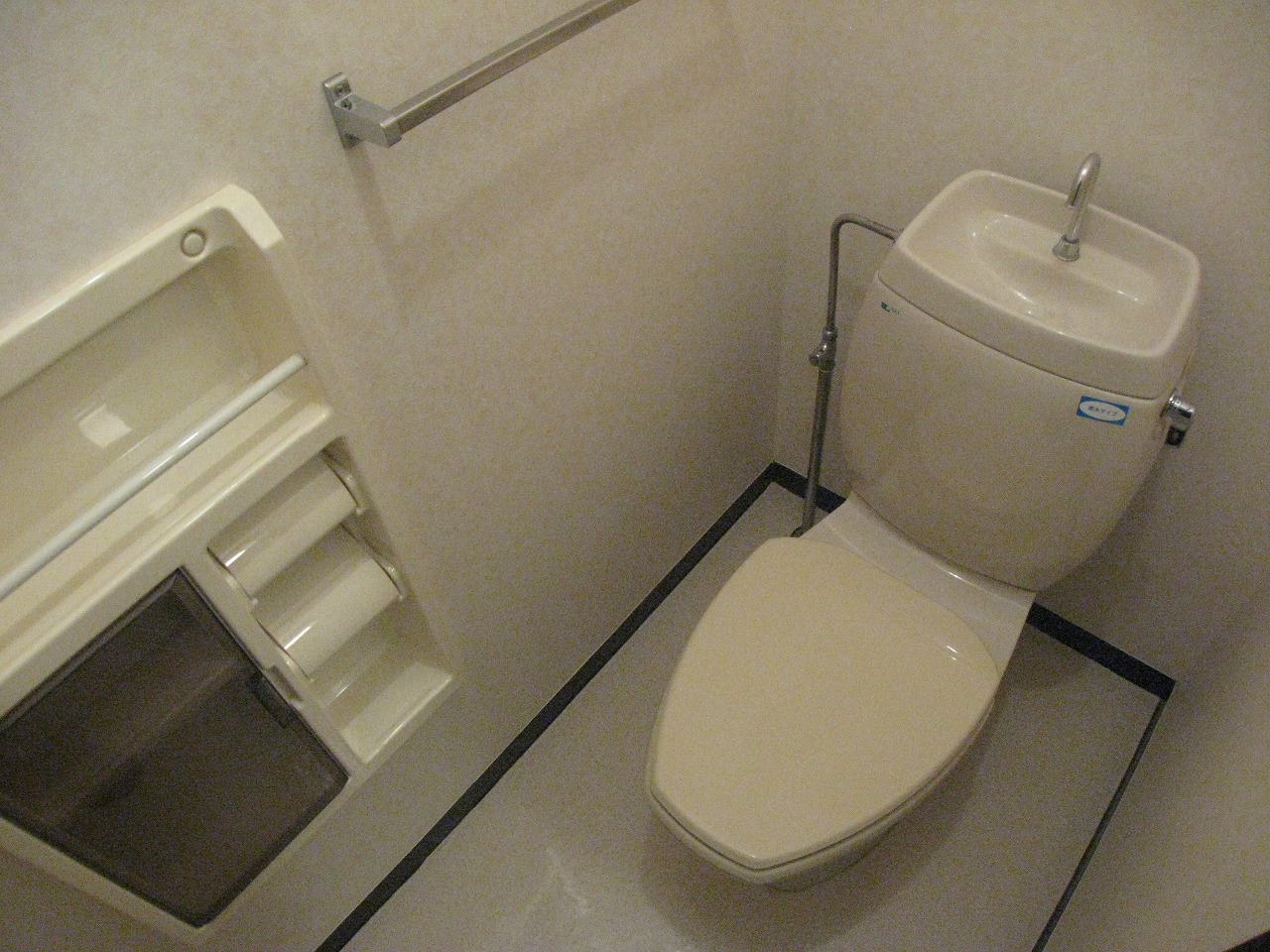 Toilet. Cleaned the toilet.