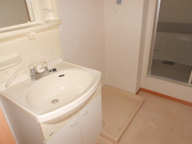 Washroom. With shampoo dresser
