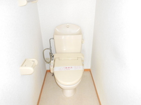 Toilet. With cleaning toilet seat