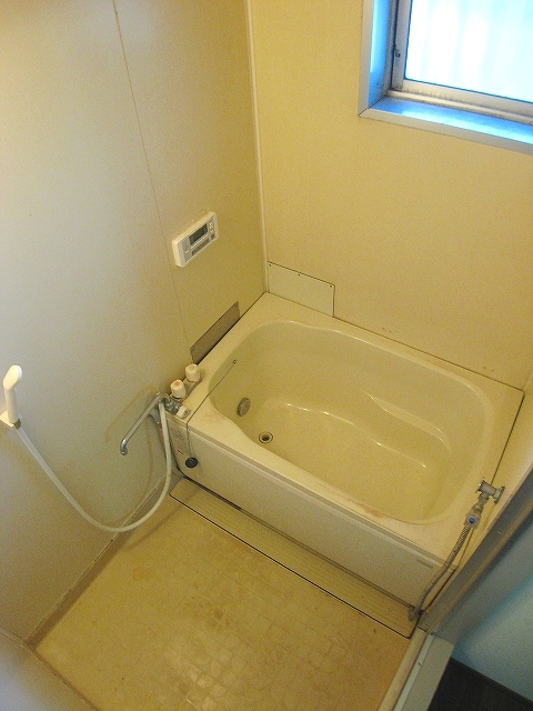 Bath. It will be in the bathroom with a small window. Also it comes with add-fired function.