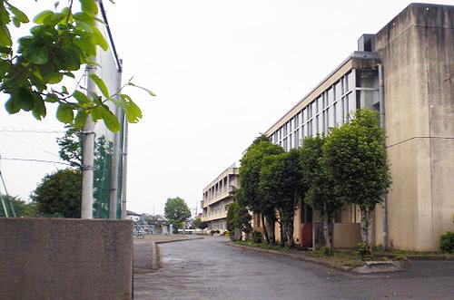 Primary school. Shichihongi until elementary school 850m