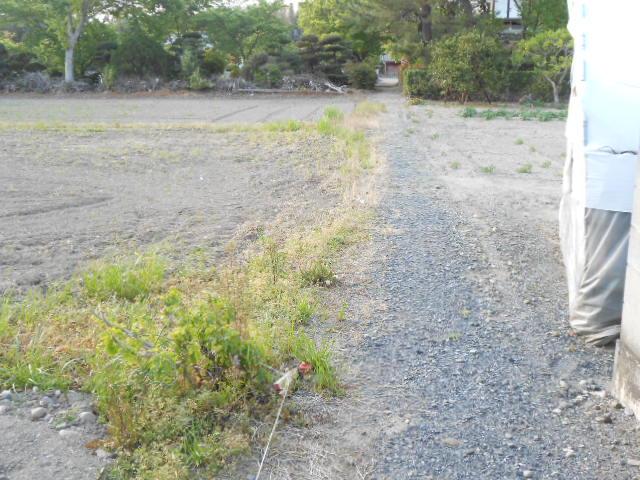 Local land photo. Local (05 May 2013) Shooting (East side of the road)