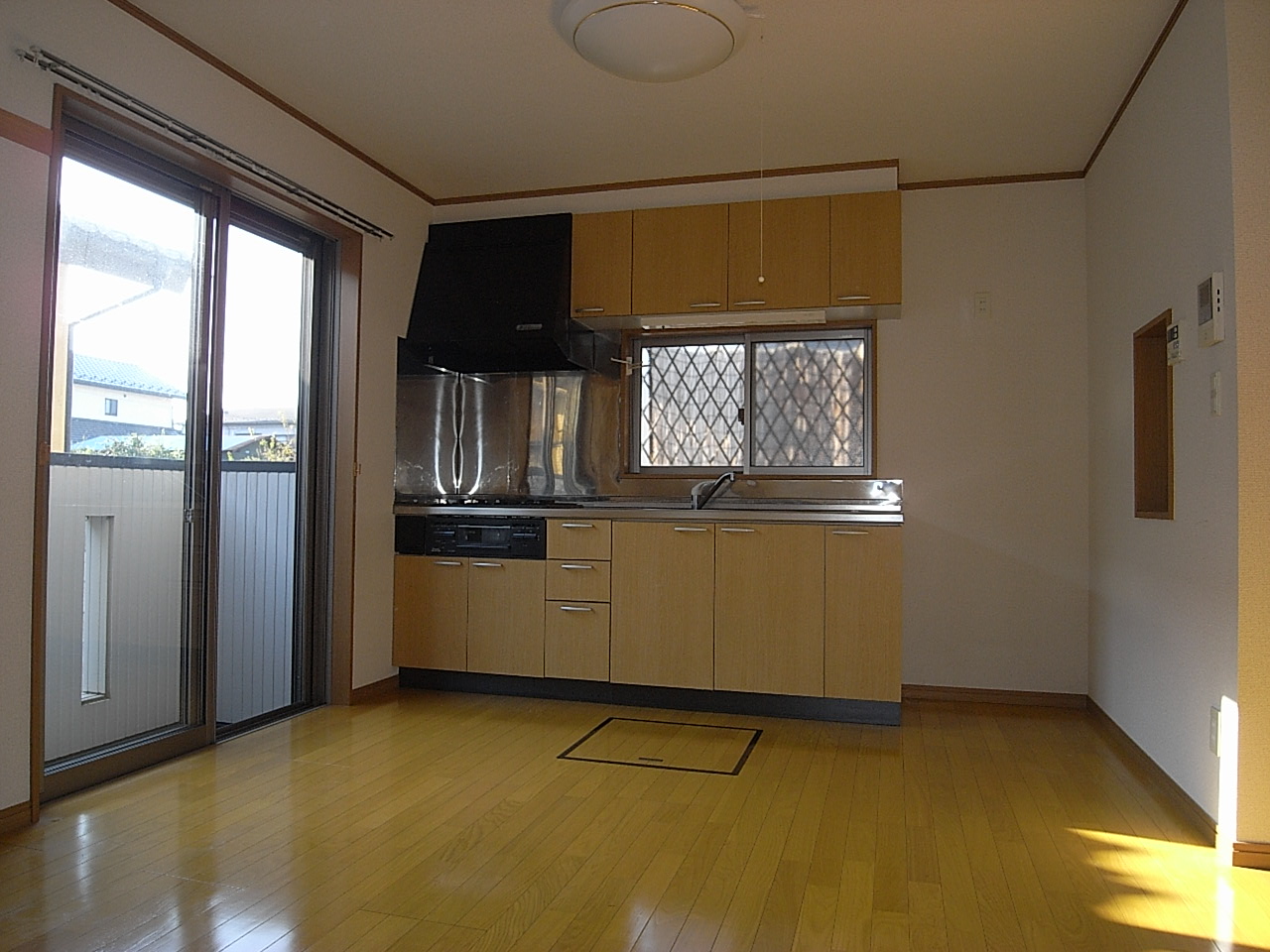 Living and room. Spacious space in the back kitchen