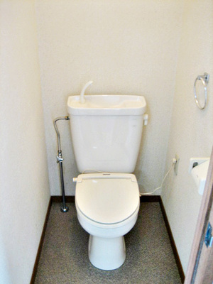 Toilet. Toilet