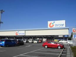 Dorakkusutoa. Kawachii chemicals Honjo shop 1373m until (drugstore)