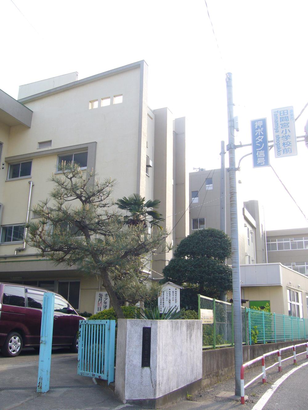 Other local. Field Mamiya elementary school