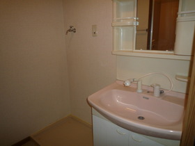 Washroom. Bathroom Vanity