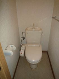 Toilet. Cleaning toilet seat