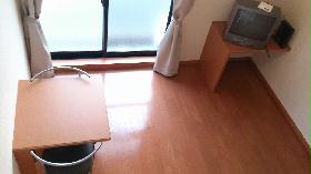 Living and room. Large windows, It is open-minded room.