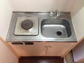 Kitchen. Electric stove, There are 1-neck.