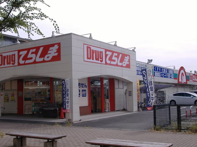 Dorakkusutoa. Drag Terashima North Kounosu Ekimae 219m to (drugstore)