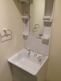 Washroom. With Vanity