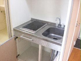 Kitchen. With electric stove. There is storage space in the up and down