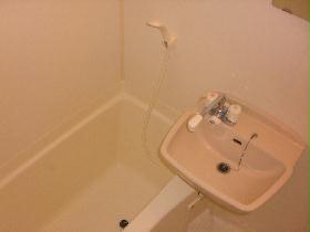 Bath. shower, Wash basin, With bathroom dryer