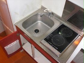 Kitchen. With electric stove. There is storage space in the up and down