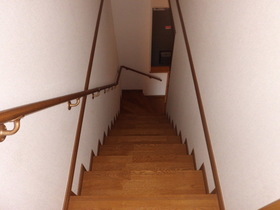 Other. Handrail often have you been to the stairs