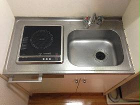 Kitchen. Electric stove, There are two-neck. 