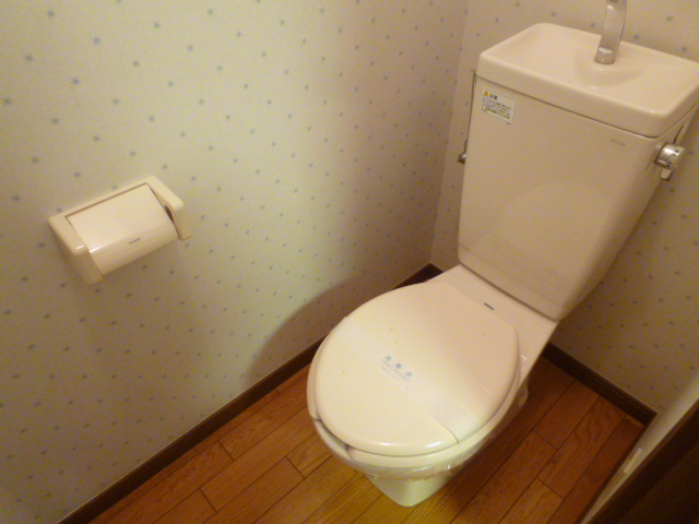 Toilet. Clean up in the flooring of the toilet