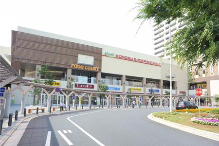 Other. Neighborhood shopping mall