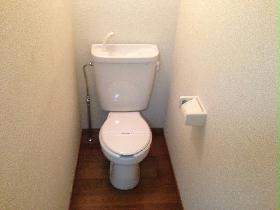 Toilet. Water washing