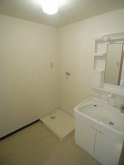 Other. With washroom shampoo dresser