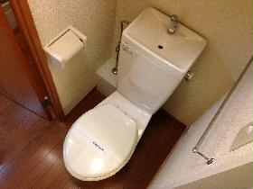 Toilet. Flush toilet