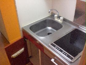 Kitchen. With electric stove. There is storage space in the up and down