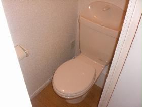 Toilet. It is washed with water