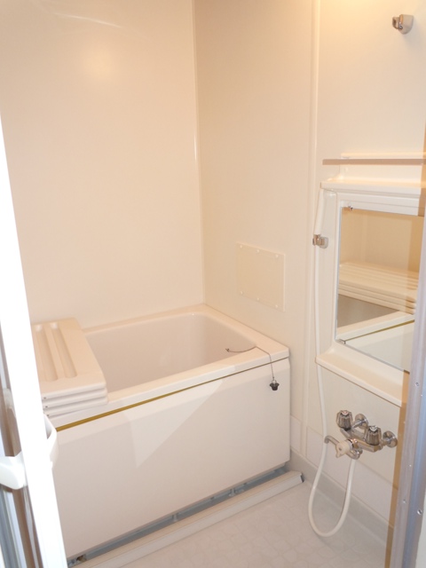 Bath. Bus with nephew fired function