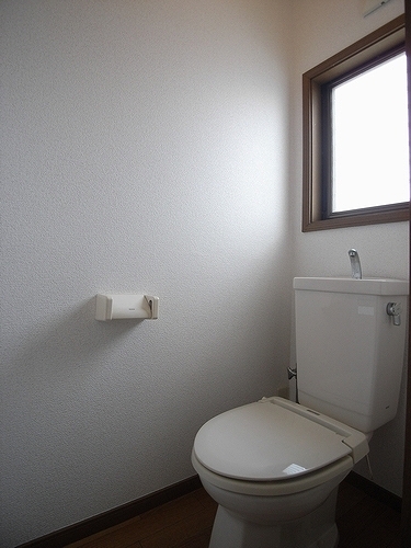 Other. Toilet