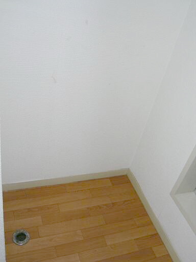 Washroom. Washing machine Storage