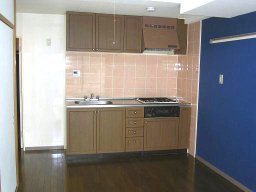 Kitchen. System kitchen