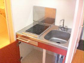 Kitchen. With electric stove. There is storage space in the up and down