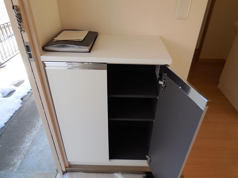 Entrance. Cupboard new