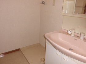 Washroom. Bathroom Vanity