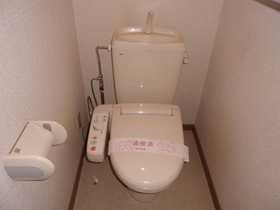 Toilet. Cleaning toilet seat